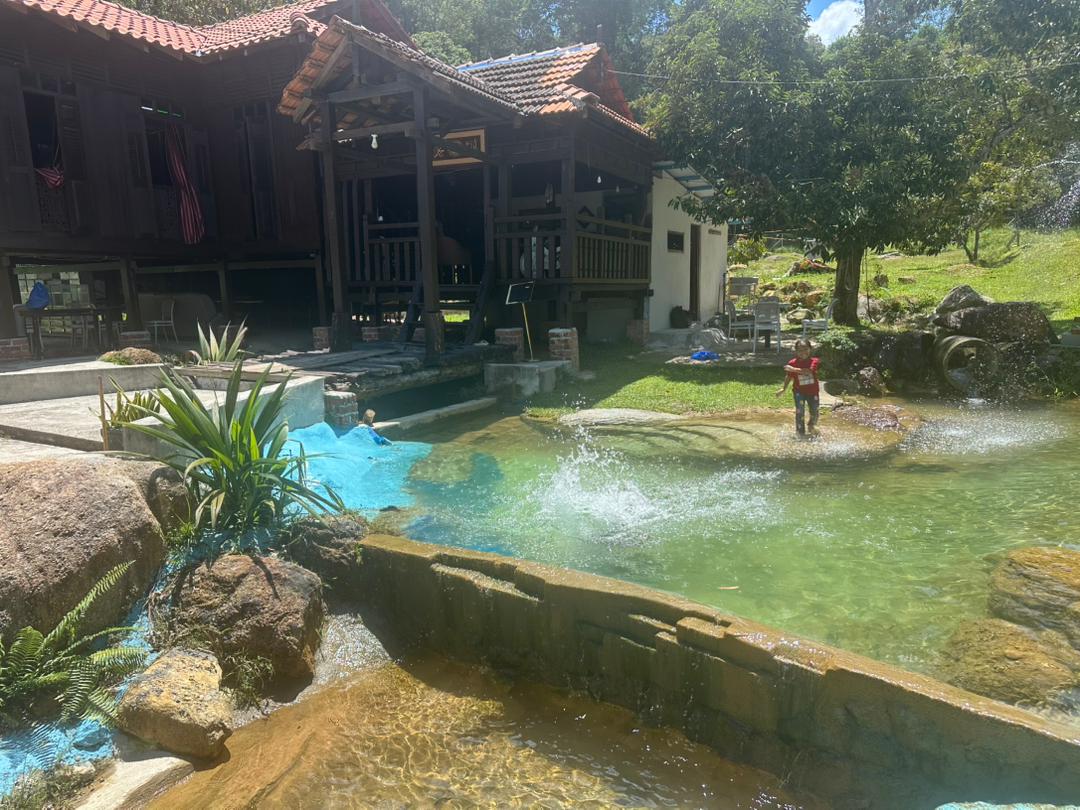 Resort Stream and House